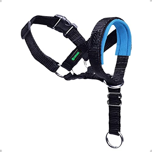 UNIQUE Dog Head Collar
